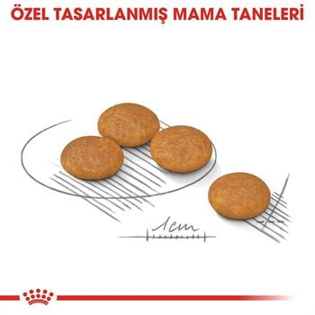 Royal Canin Mini Dermacomfort Küçük Irk Hassas Yetişkin Köpek Maması 3 Kg