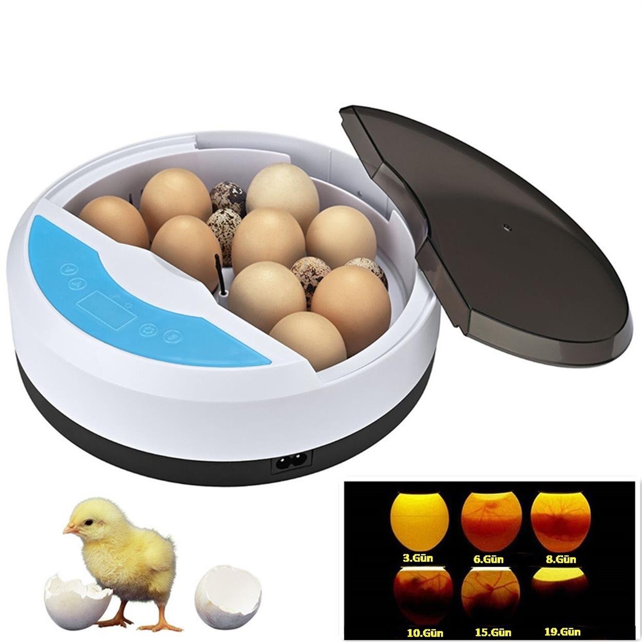 Mini 9+4 Yumurtalı  Otomatik Kuluçka Makinası 