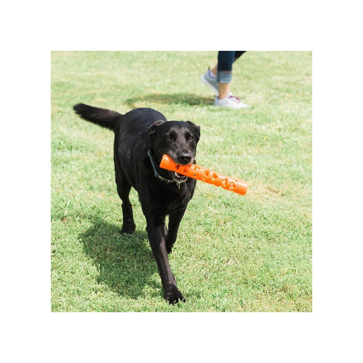 Chuckit ! Air Fetch Stick Büyük Boy