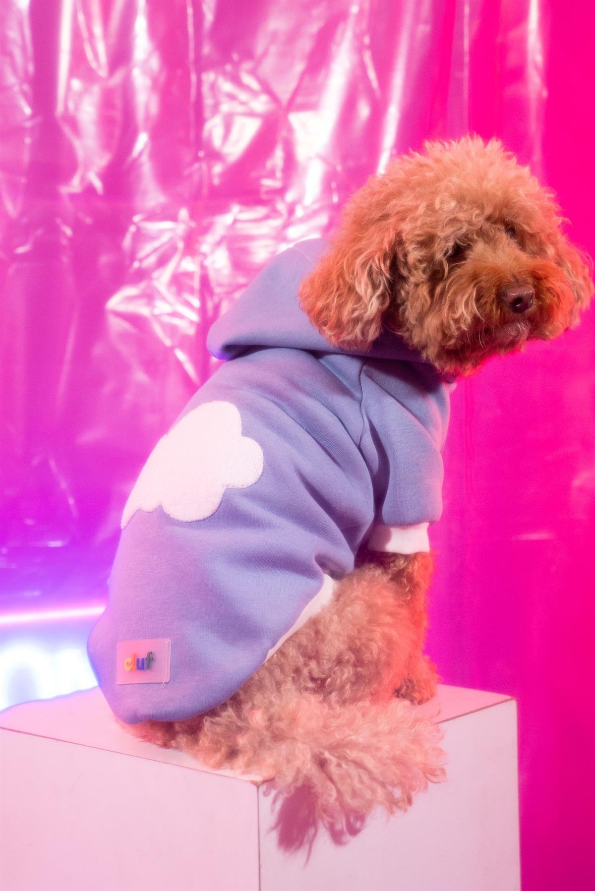 Cluf Way2Go Mavi Köpek Hoodie