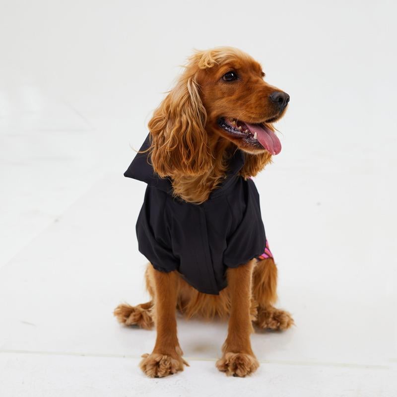 Godoist Raincaot Series Loving is easy Köpek Yağmurluğu