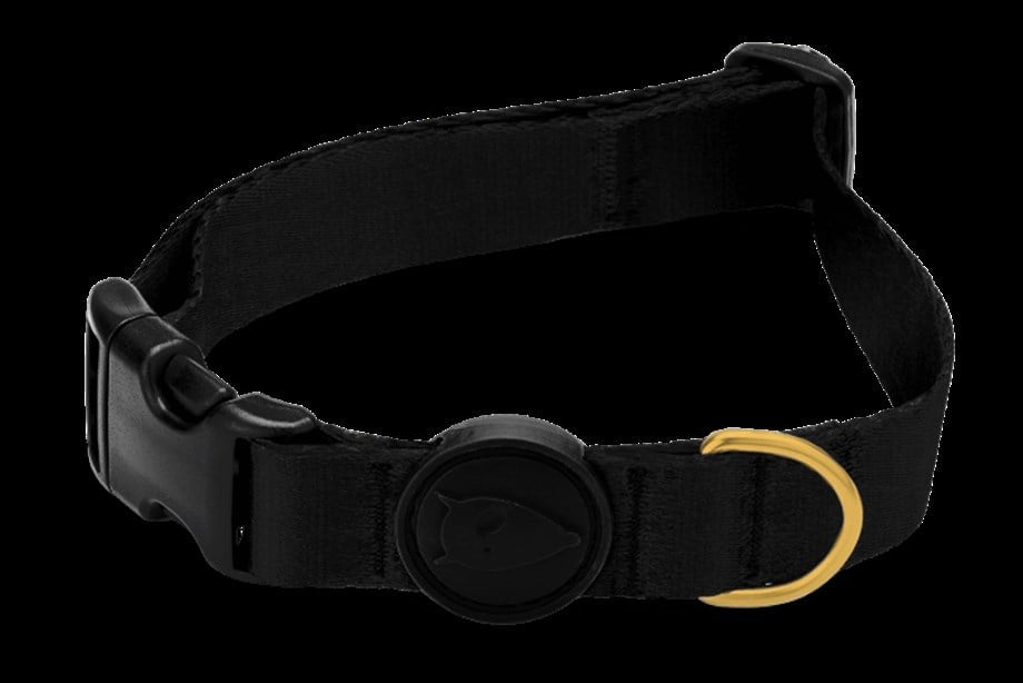 Gold Caviar Neck Collar Morso
