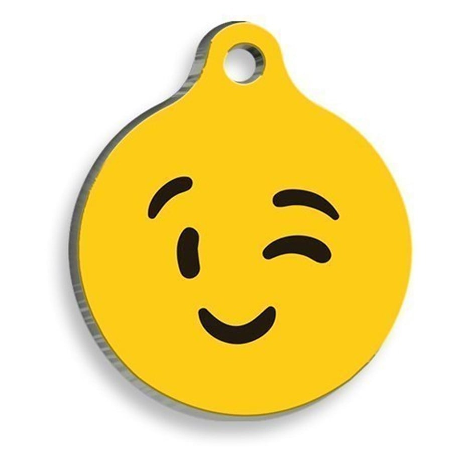 Blinking Round Cat And Dog Tag