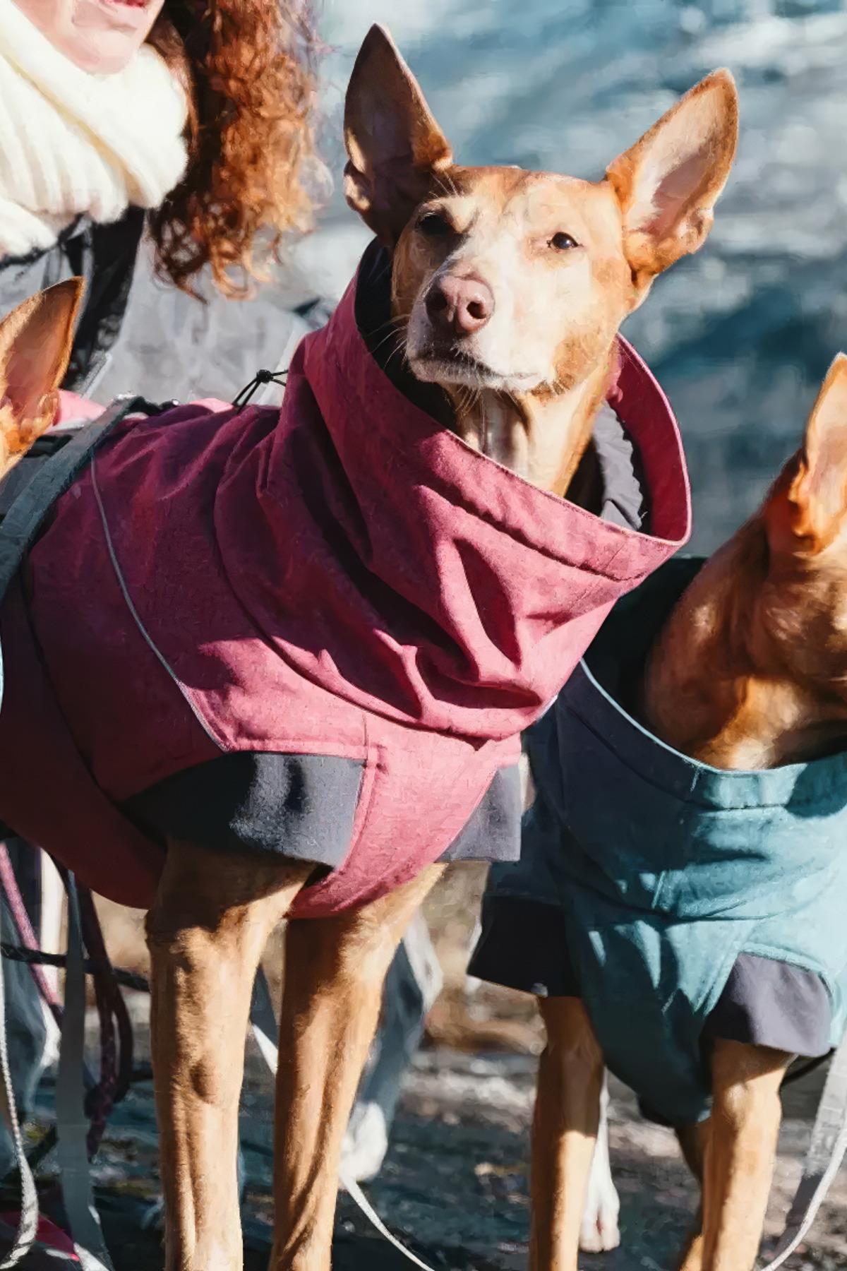 Hurtta Expedition Dog Parka - Smoked
