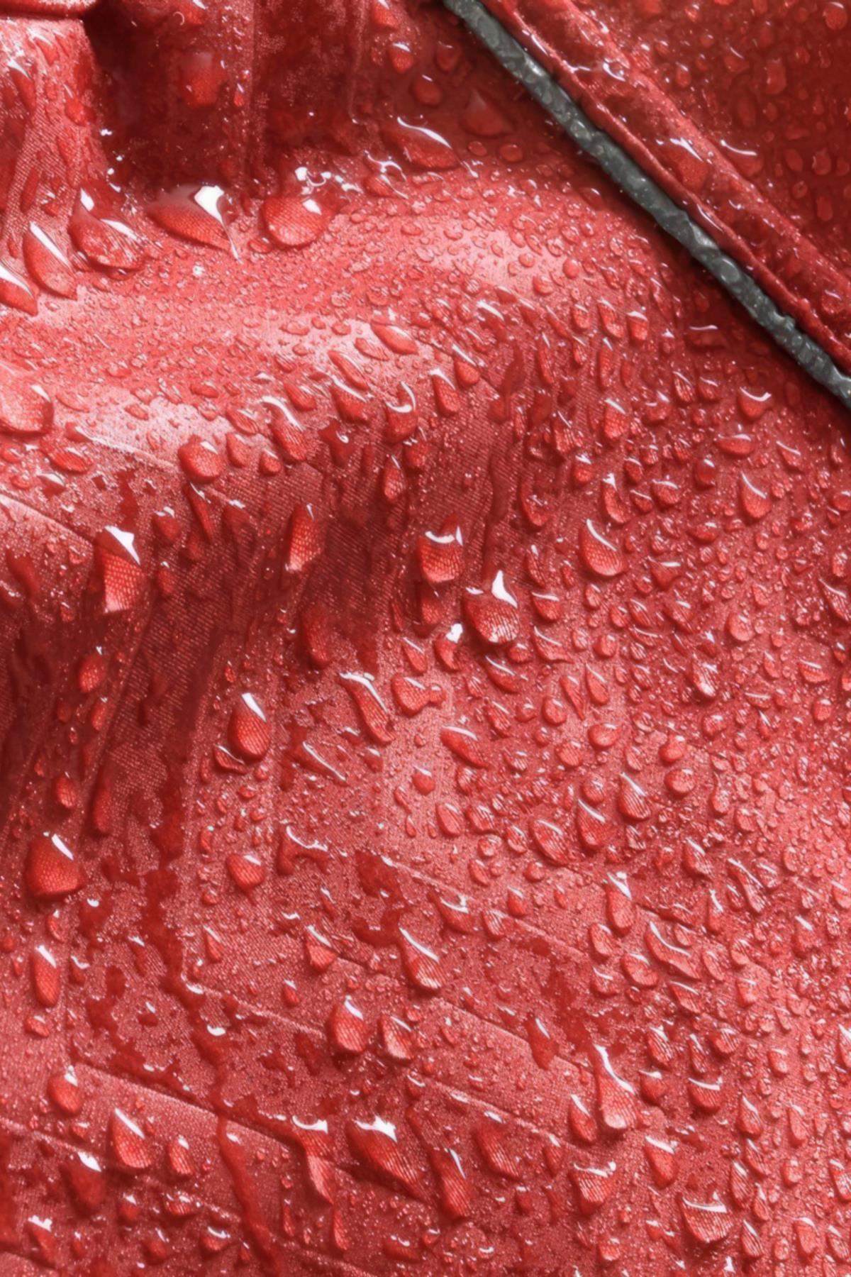lindodogs-softshell-red-stripe-kucukor-ca5325.jpg