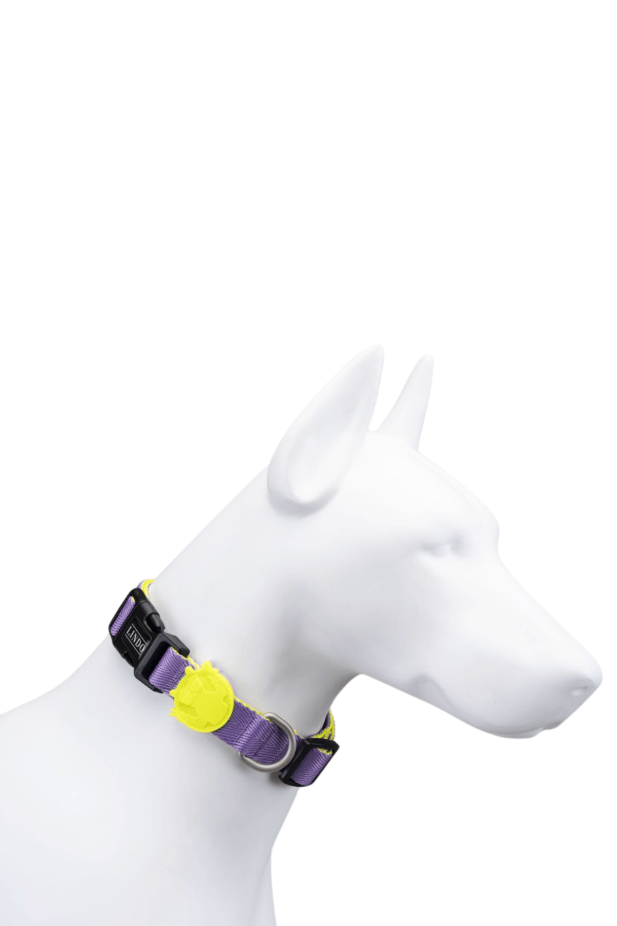 Lindodogs Urban Glow Purple Boyun Tasması