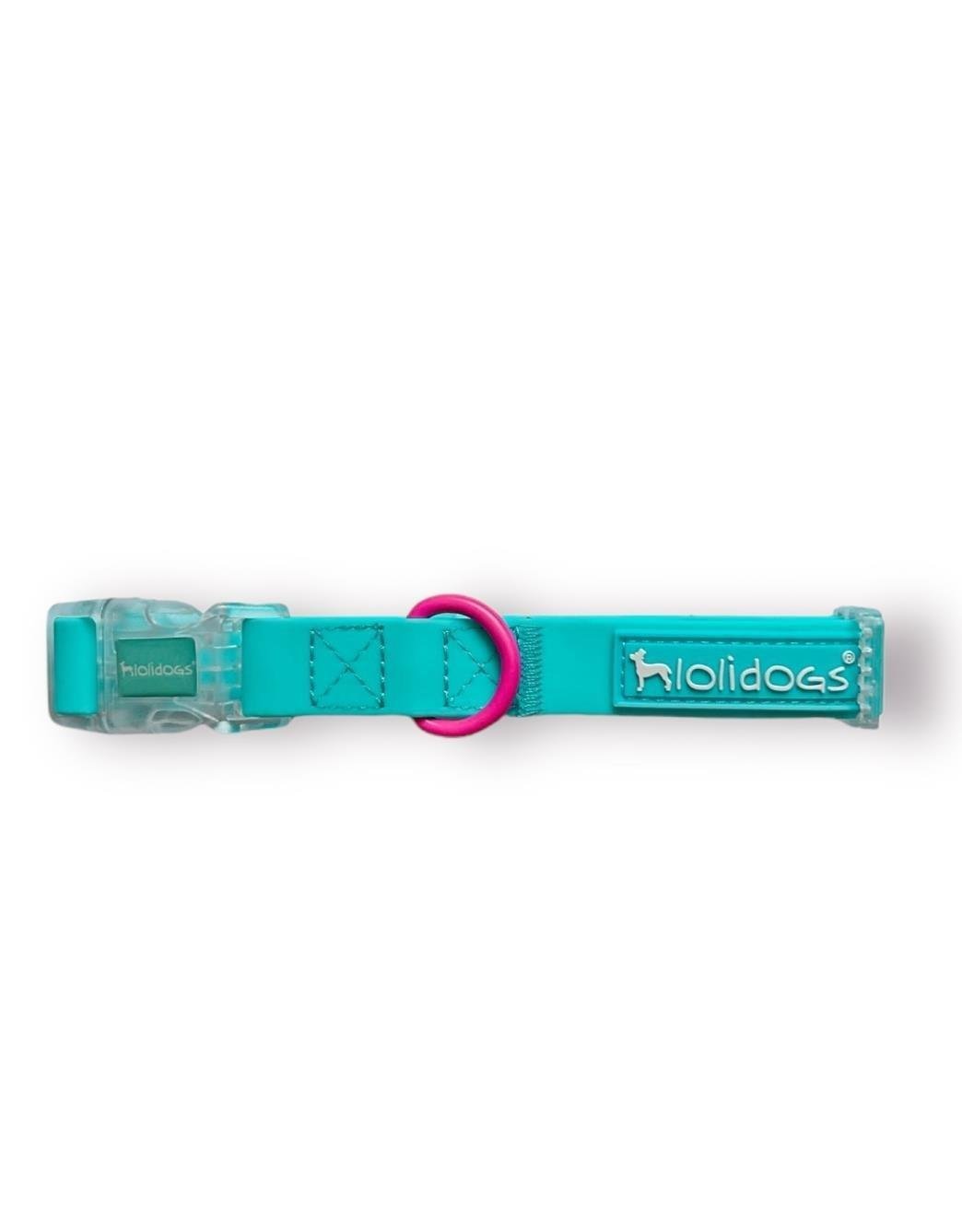 Lolidogs Jelly Collection Köpek Boyun Tasması Berry