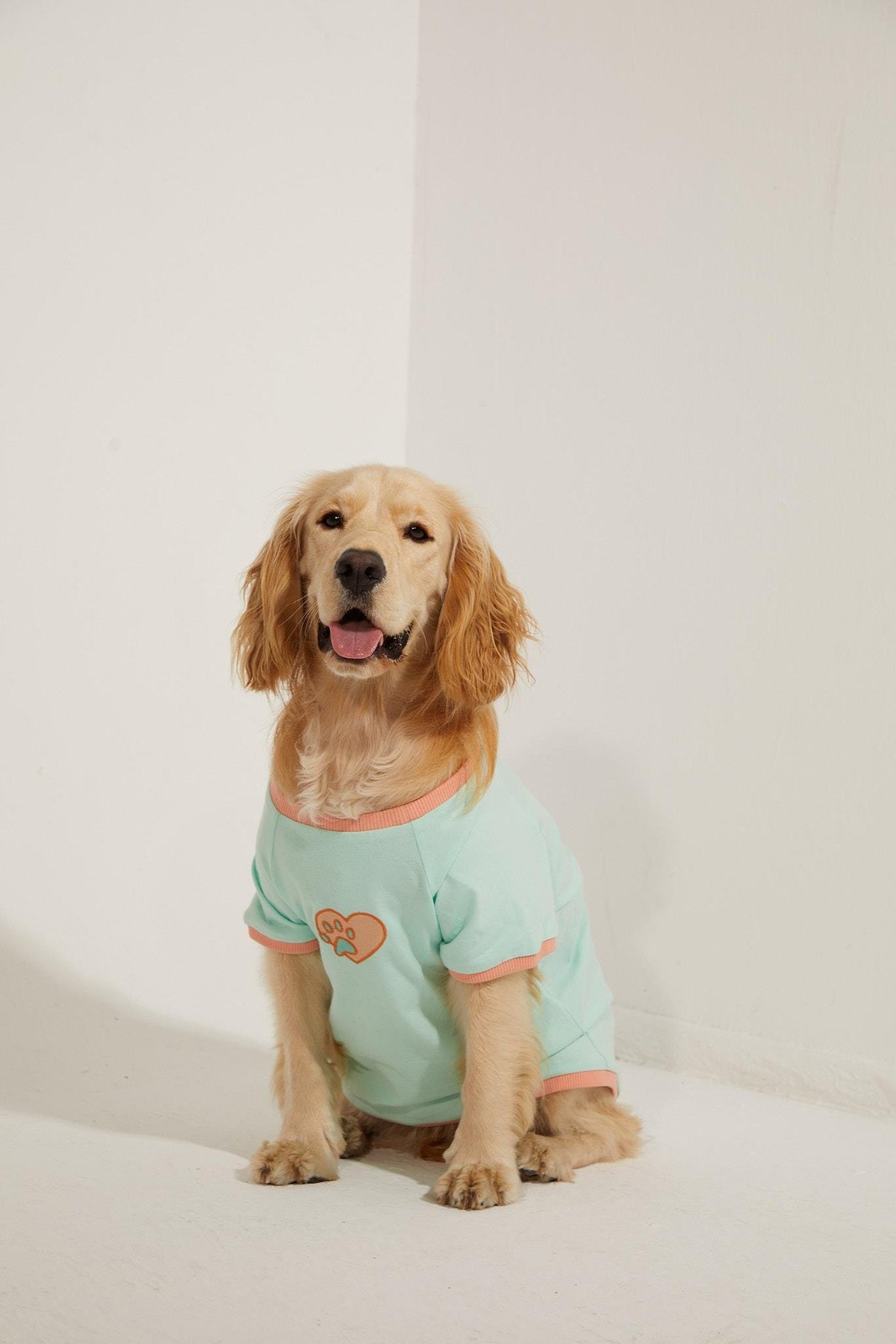 Lorico-Pet Amalfi T-Shirt - Su Yeşili Köpek T-shirt