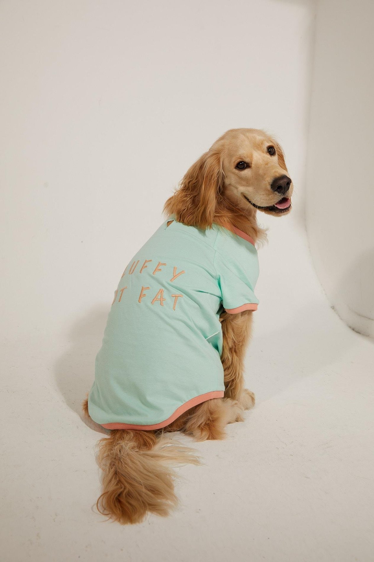 Lorico-Pet Amalfi T-Shirt - Su Yeşili Köpek T-shirt