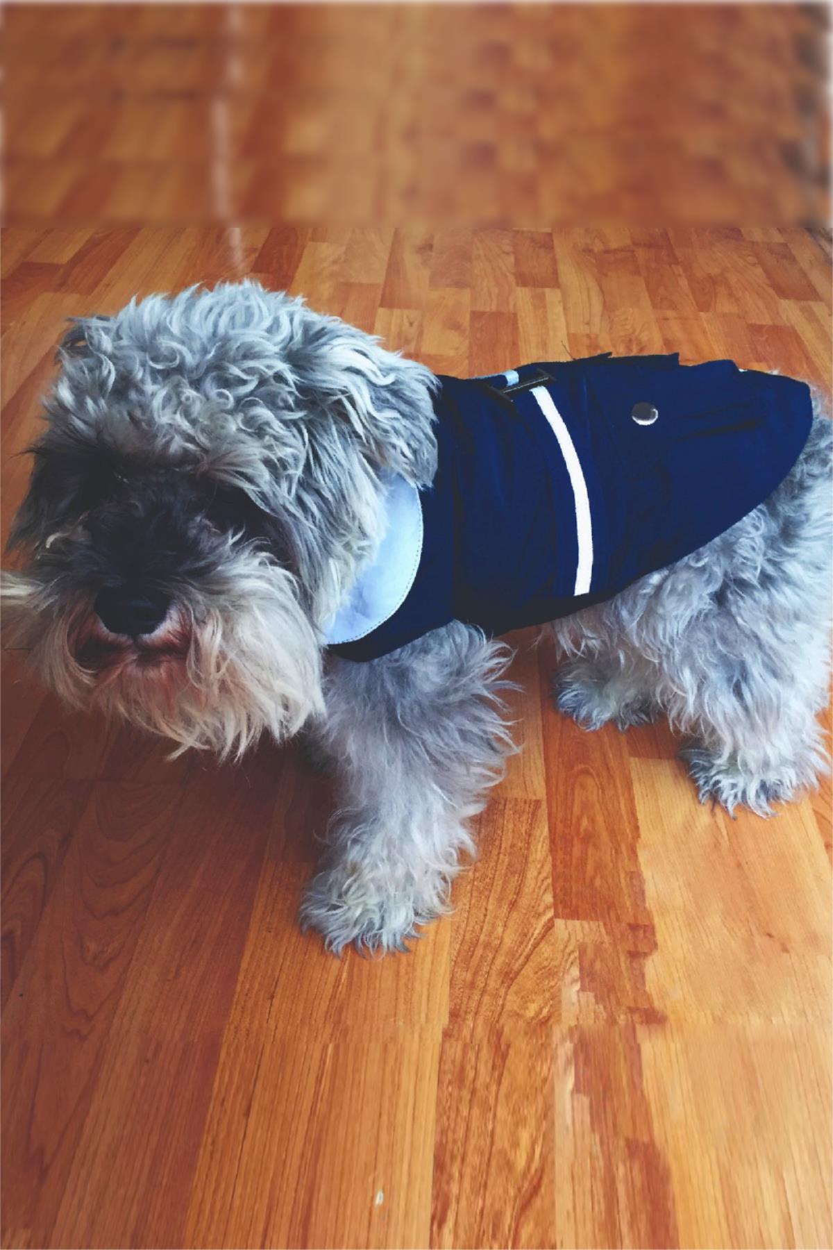lulu-the-urban-pup-classic-raincoat-ko--4665-.jpg