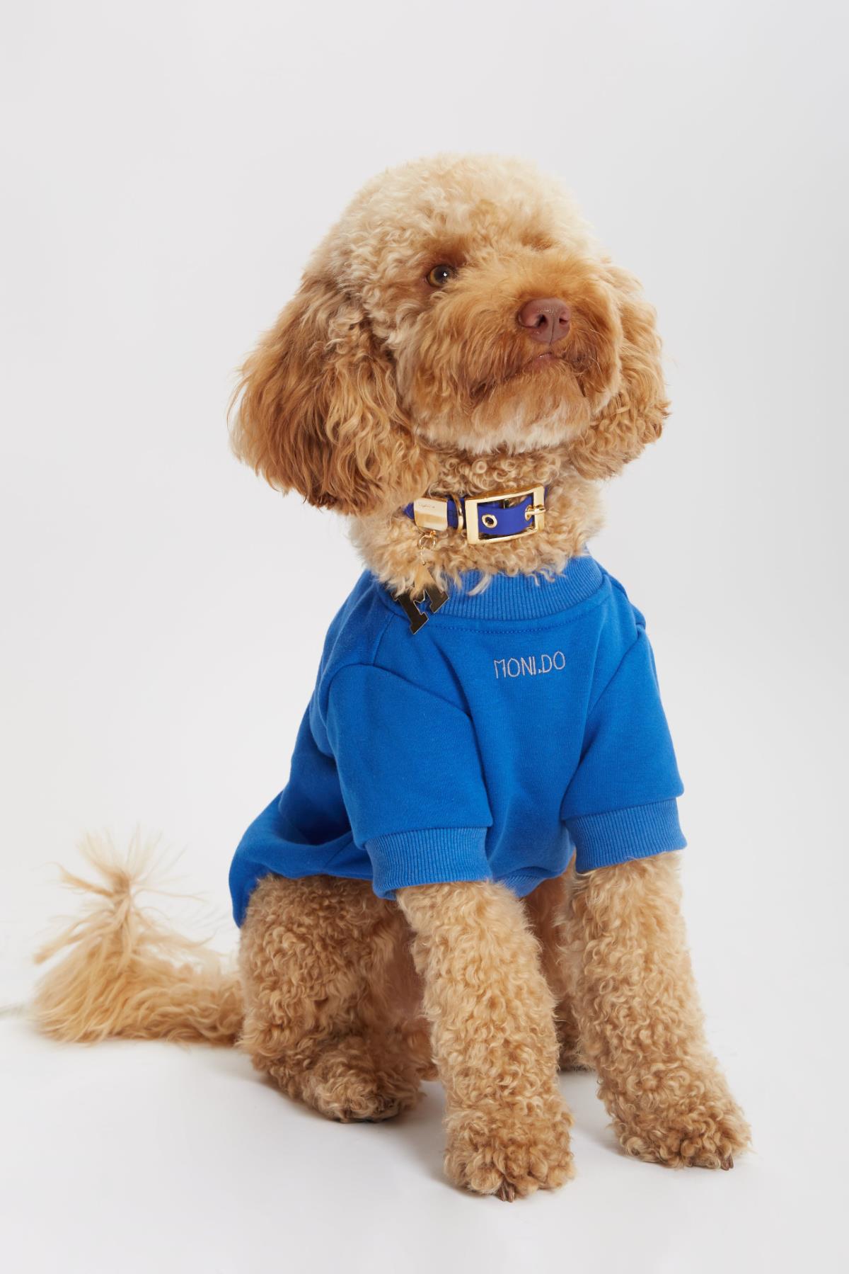 mavi-kopek-sweatshirt-awesome-sloganli-a-8968.jpg