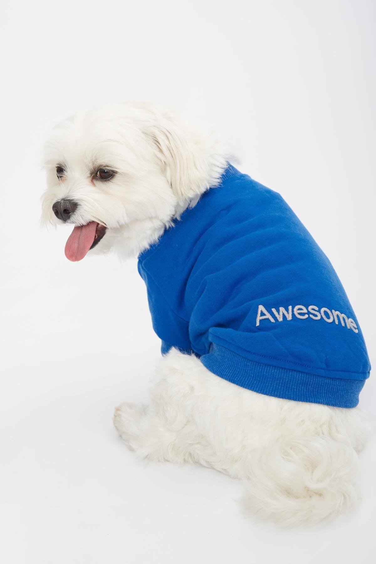 mavi-kopek-sweatshirt-awesome-sloganli-e9a518.jpg