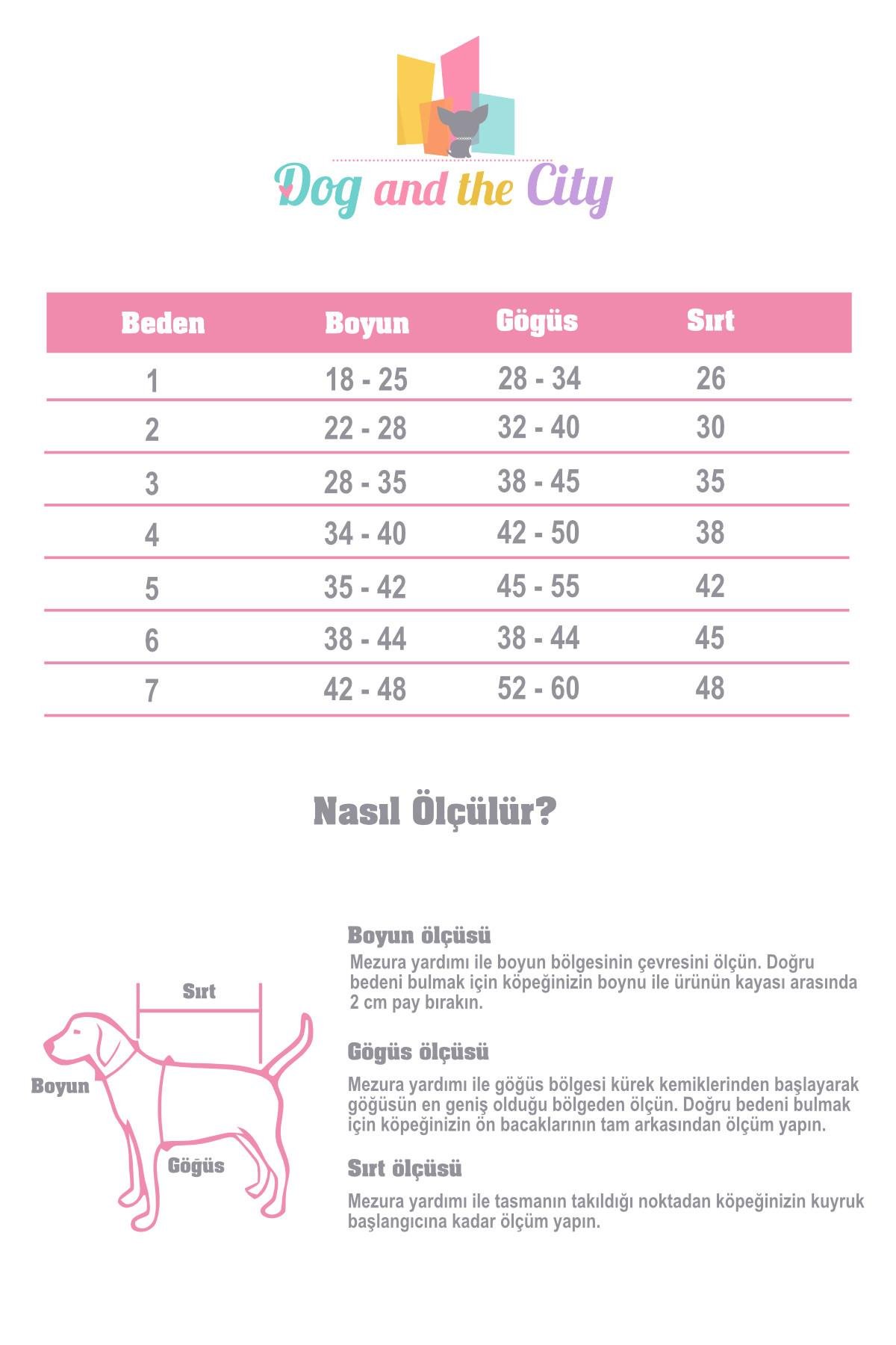 mavi-kopek-sweatshirt-awesome-sloganli-f3e572.jpg