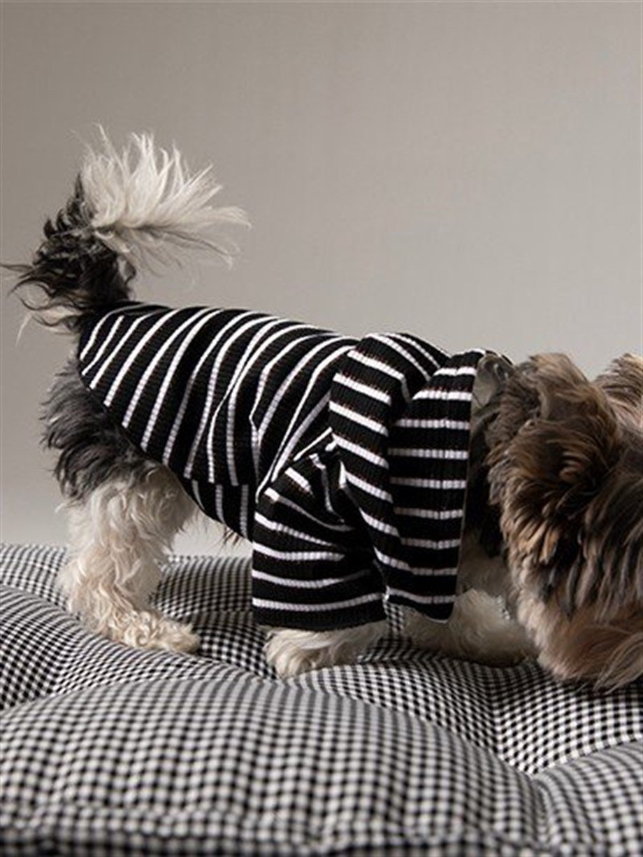 Moi and Ellie Sofie Hoodie Köpek Sweatshirt