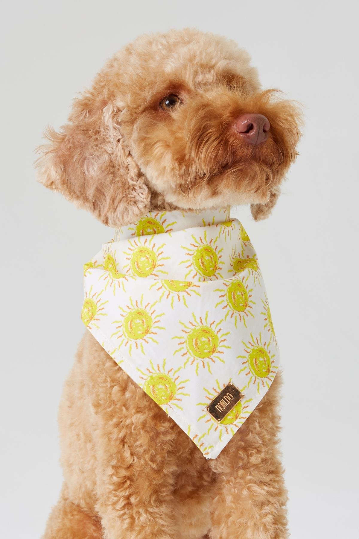 Monido Güneş Desenli Köpek Bandana