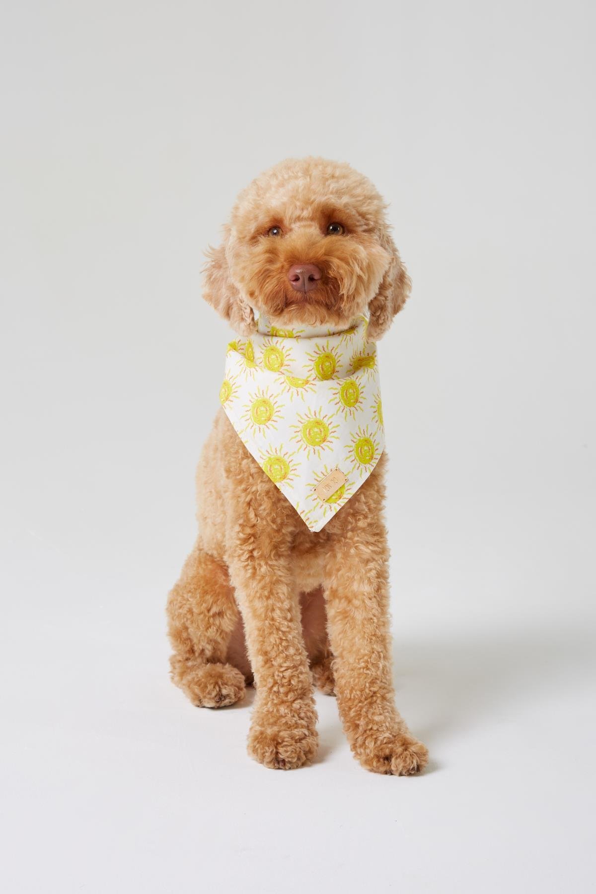 Monido Güneş Desenli Köpek Bandana