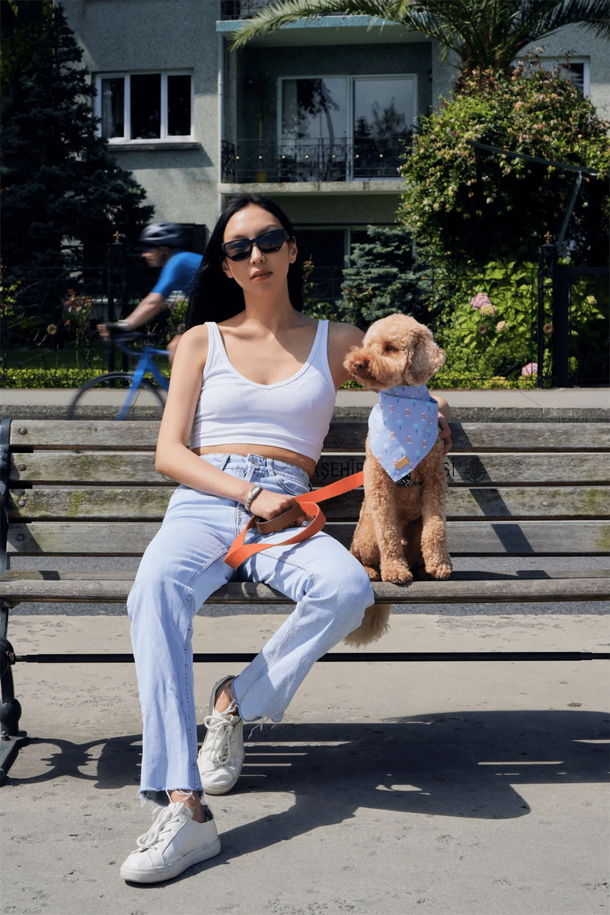 Monido Şeker Desenli Köpek Bandana