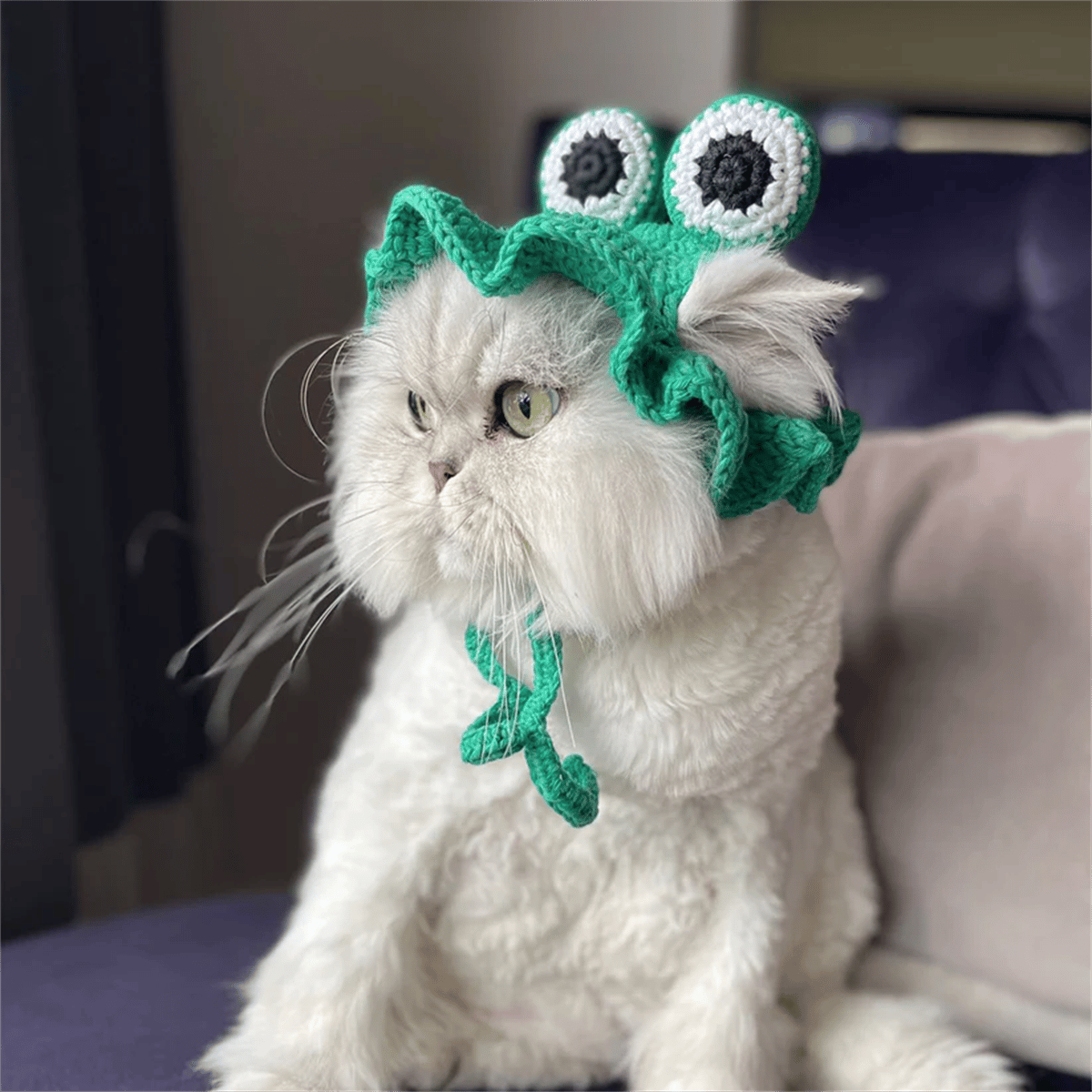 My Petit Paw Köpek Şapka - Frogy