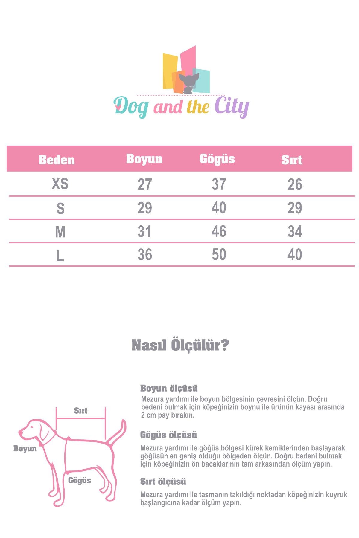 paw-icons-love-is-found-kopek-gomlek-459b-b.jpg