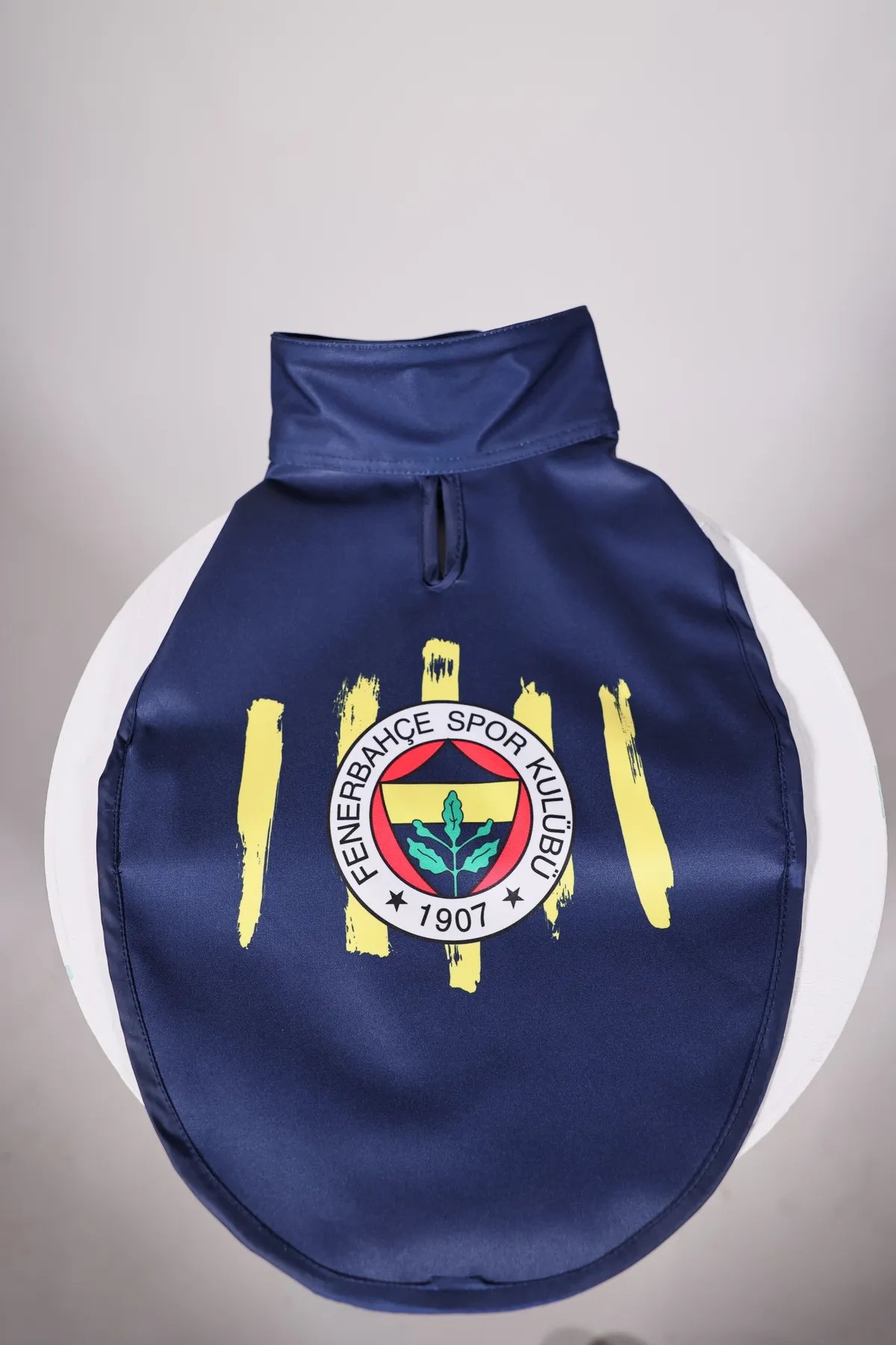 Pawlook Fenerbahçe Lisanslı Köpek Yağmurluğu