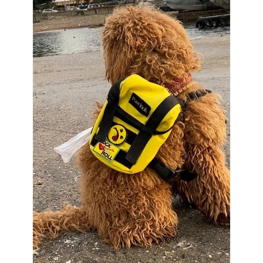 Pawlook Köpek Sırt Çantası Sarı