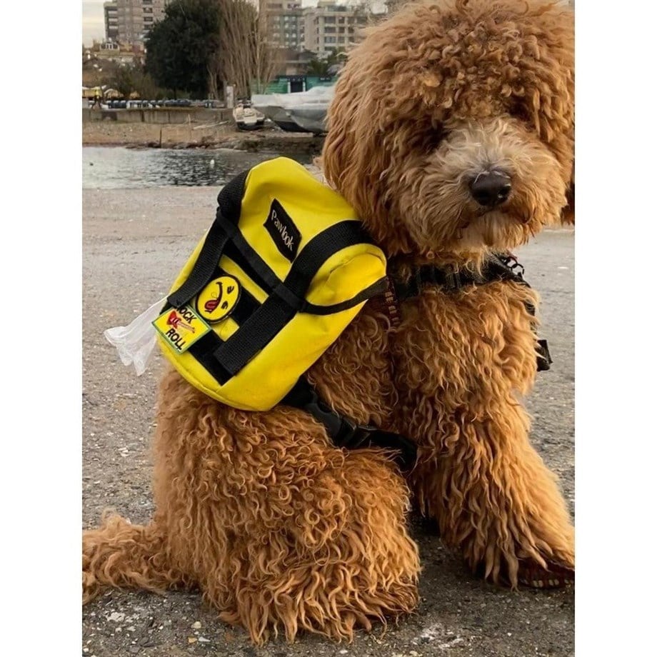 Pawlook Köpek Sırt Çantası Sarı