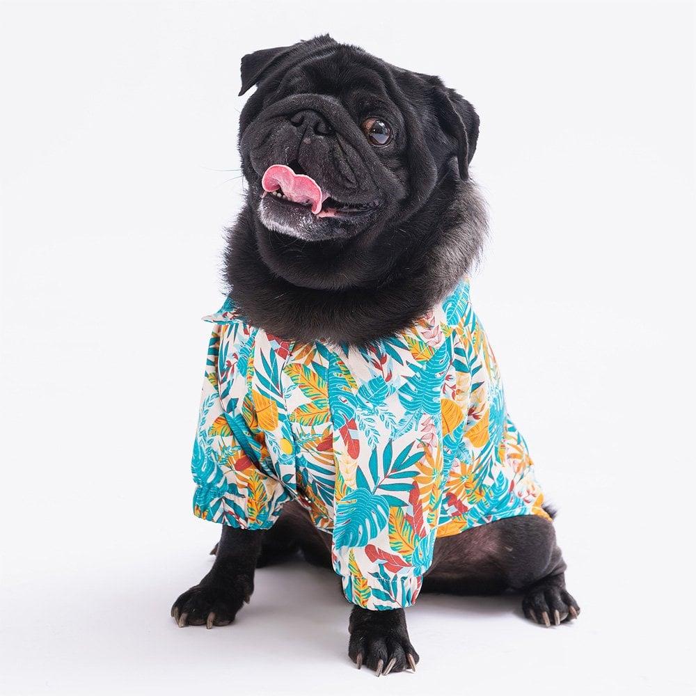 PawStar Folia Gömlek