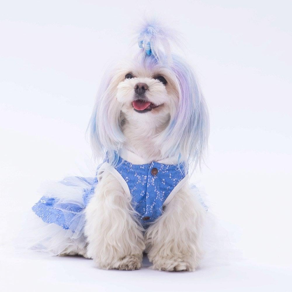 PawStar Mavi Primavera Elbise