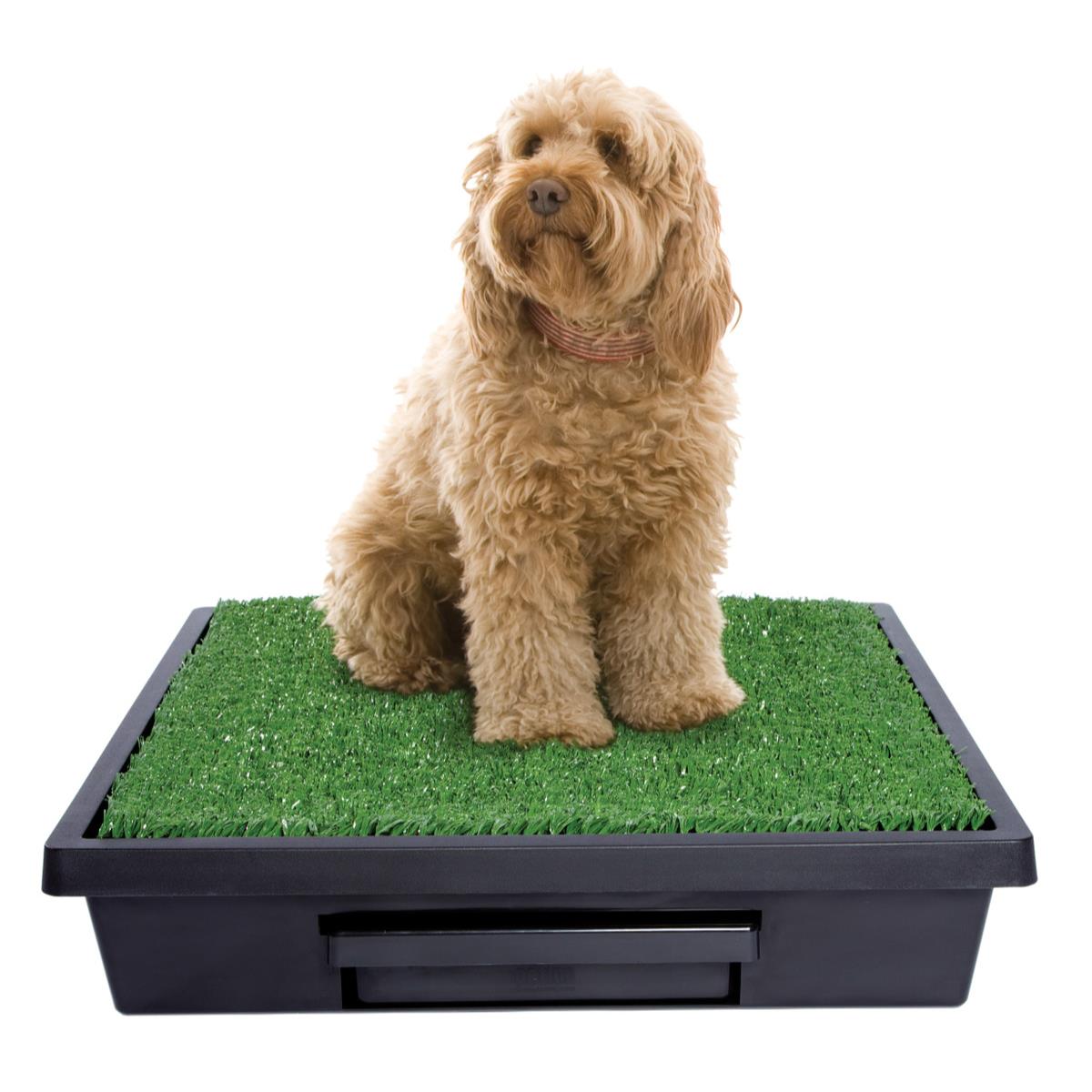 pet-loo-kopek-tuvaleti-medium-63-x-63--04930e.jpg