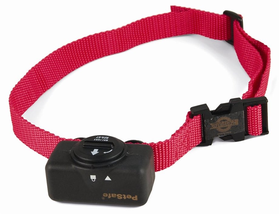 PetSafe Basic Statik Havlama Önleyici Tasma