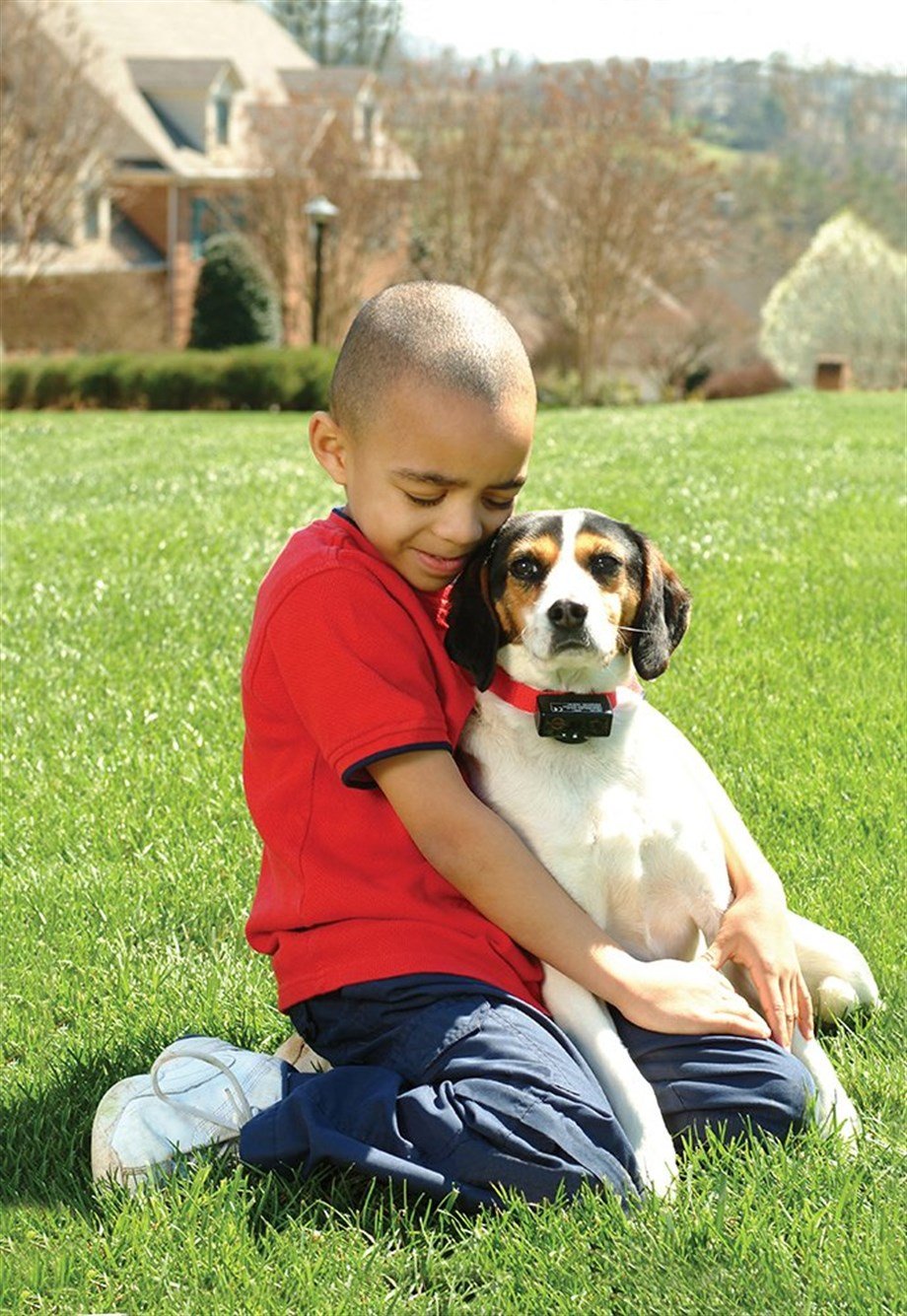 PetSafe Basic Statik Havlama Önleyici Tasma