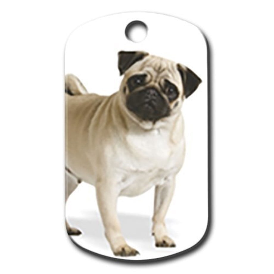 Pug (Mops) Illustrated Dog Tag