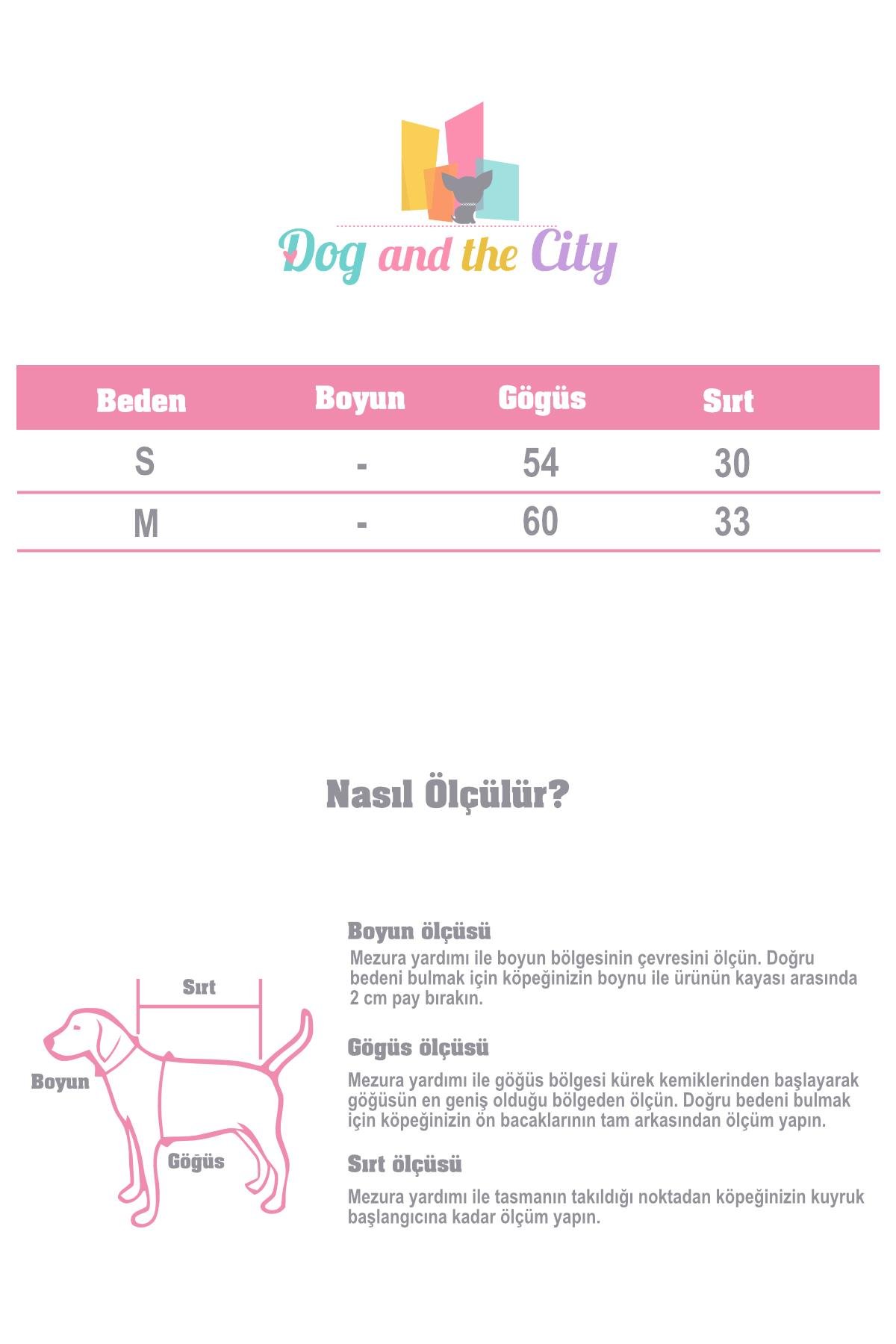 rockn-dogs-turuncu-gomlek-1-4b3b.jpg