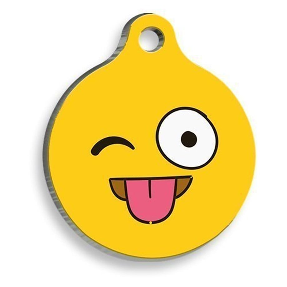 Joke Round Cat And Dog Tag