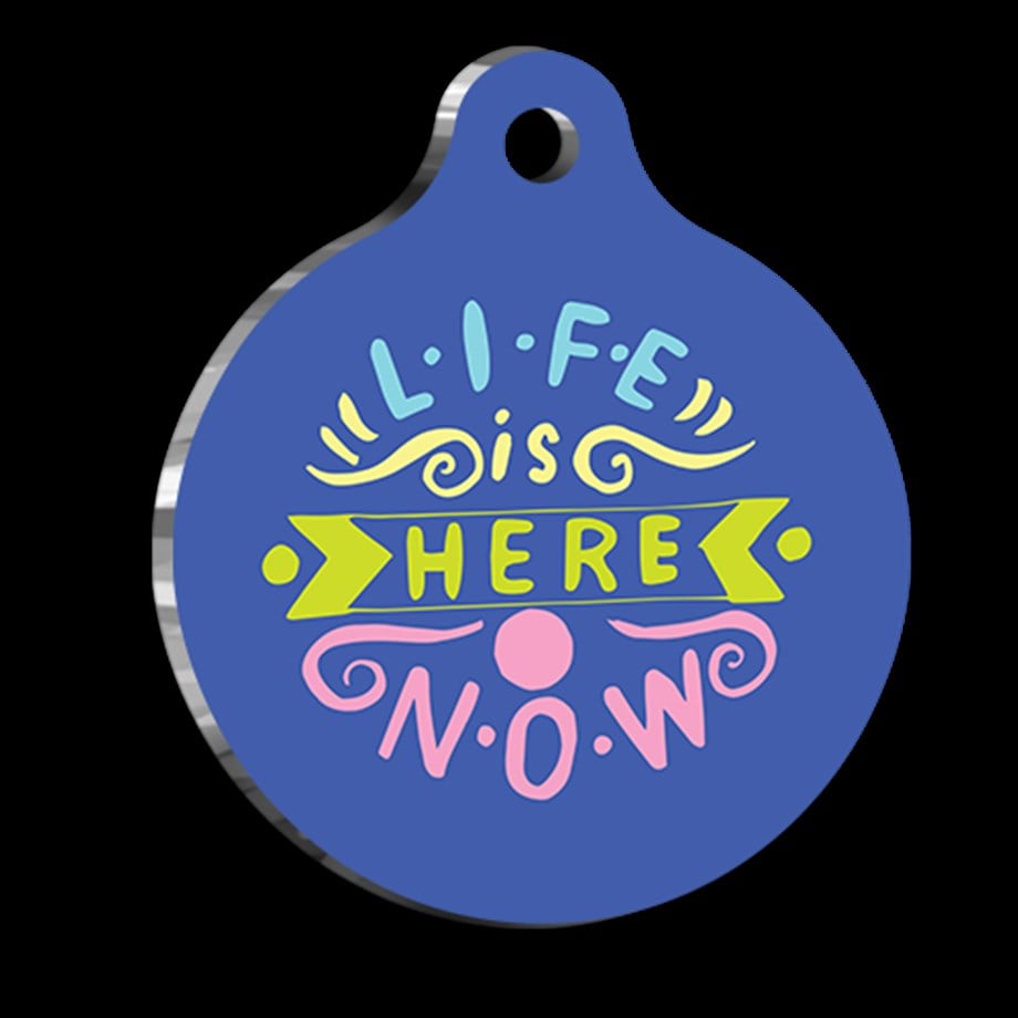 Now And Here (Here & Now) Cat Dog Tag