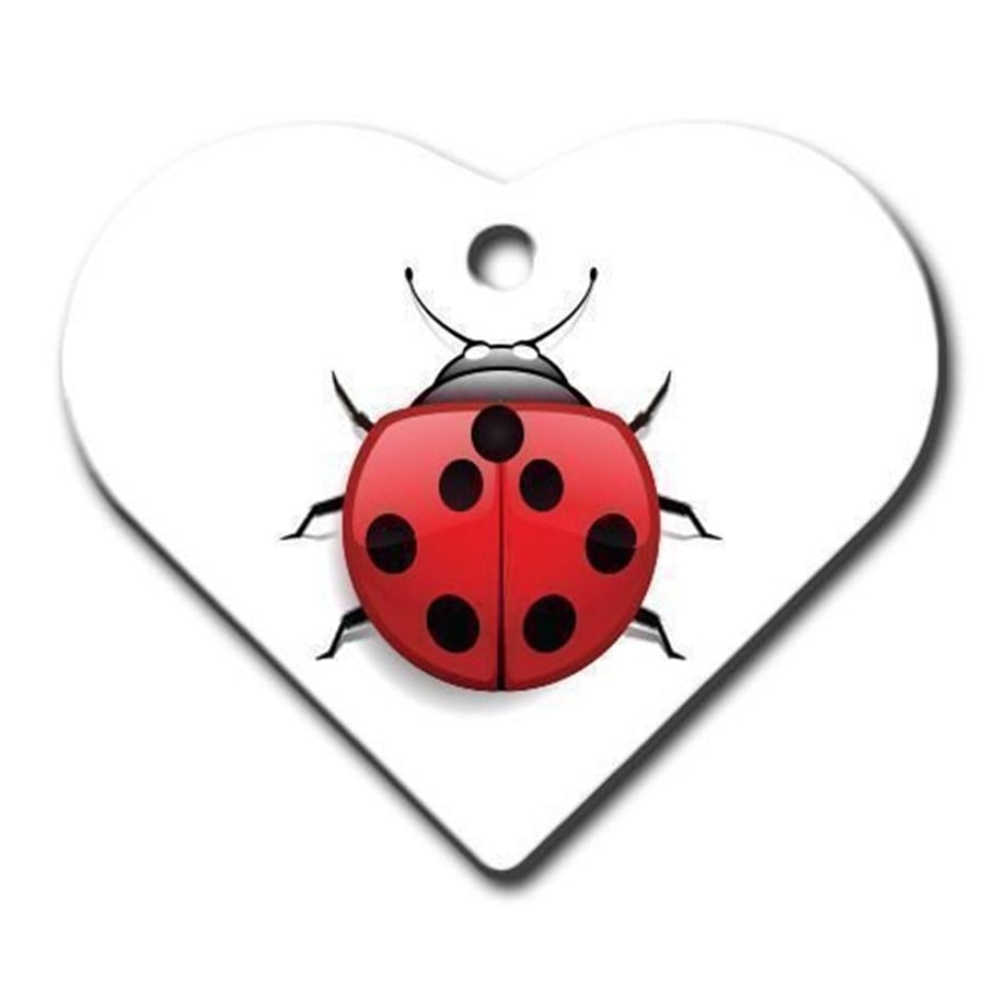 Ladybug