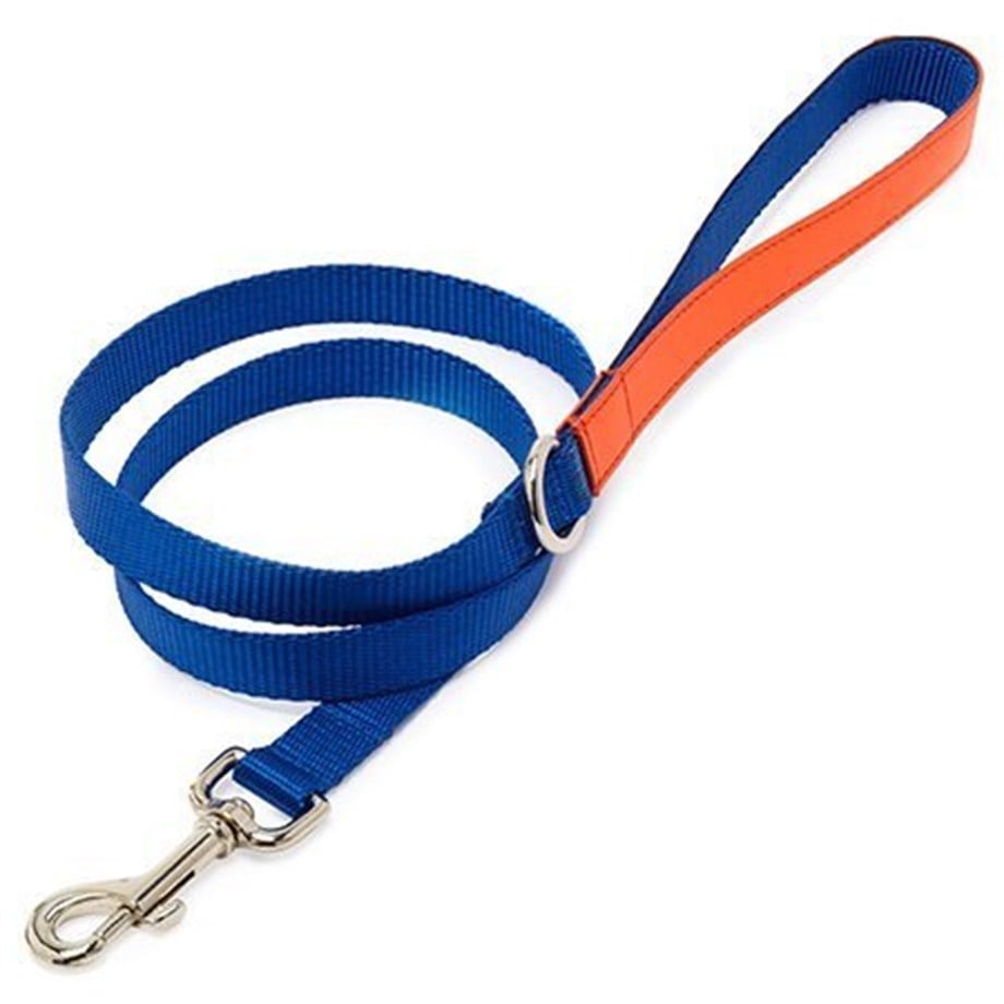 Ware of The Dog Color Block Köpek Gezdirme Tasması Mavi