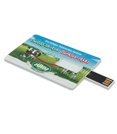 Kart Şeklinde Dikdörtgen Usb Flash Bellek