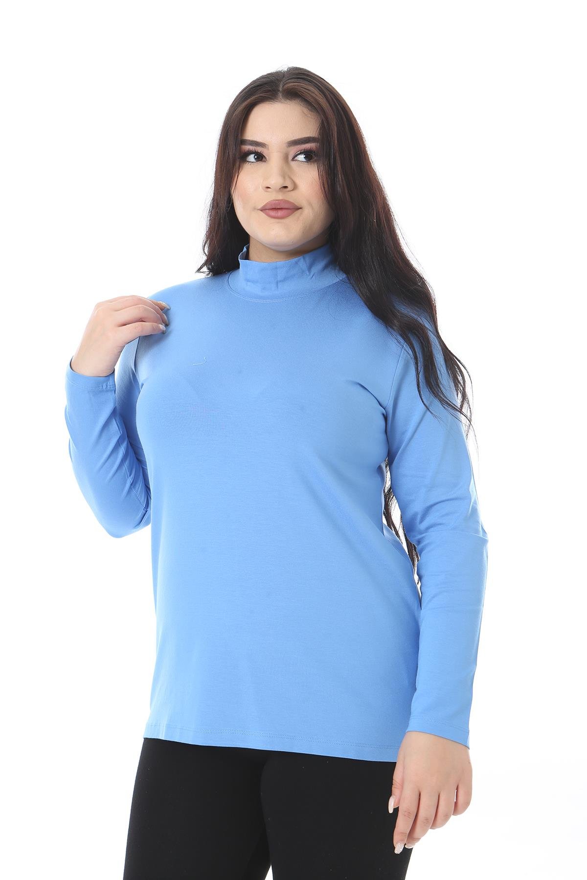Kadın Büyük Beden Bebe Mavisi Dik Yakalı Uzun Kollu Bluz 65N38540