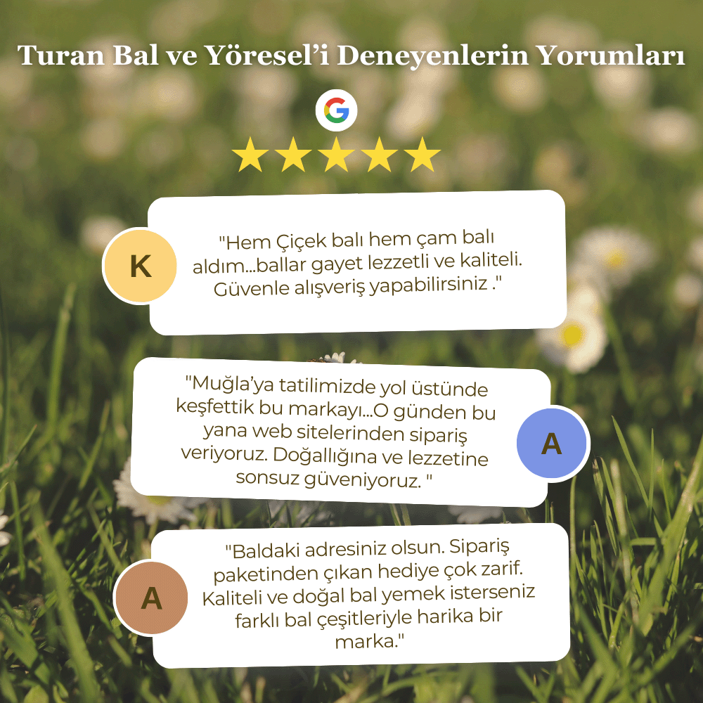 Saf Zeytinyağı 1L
