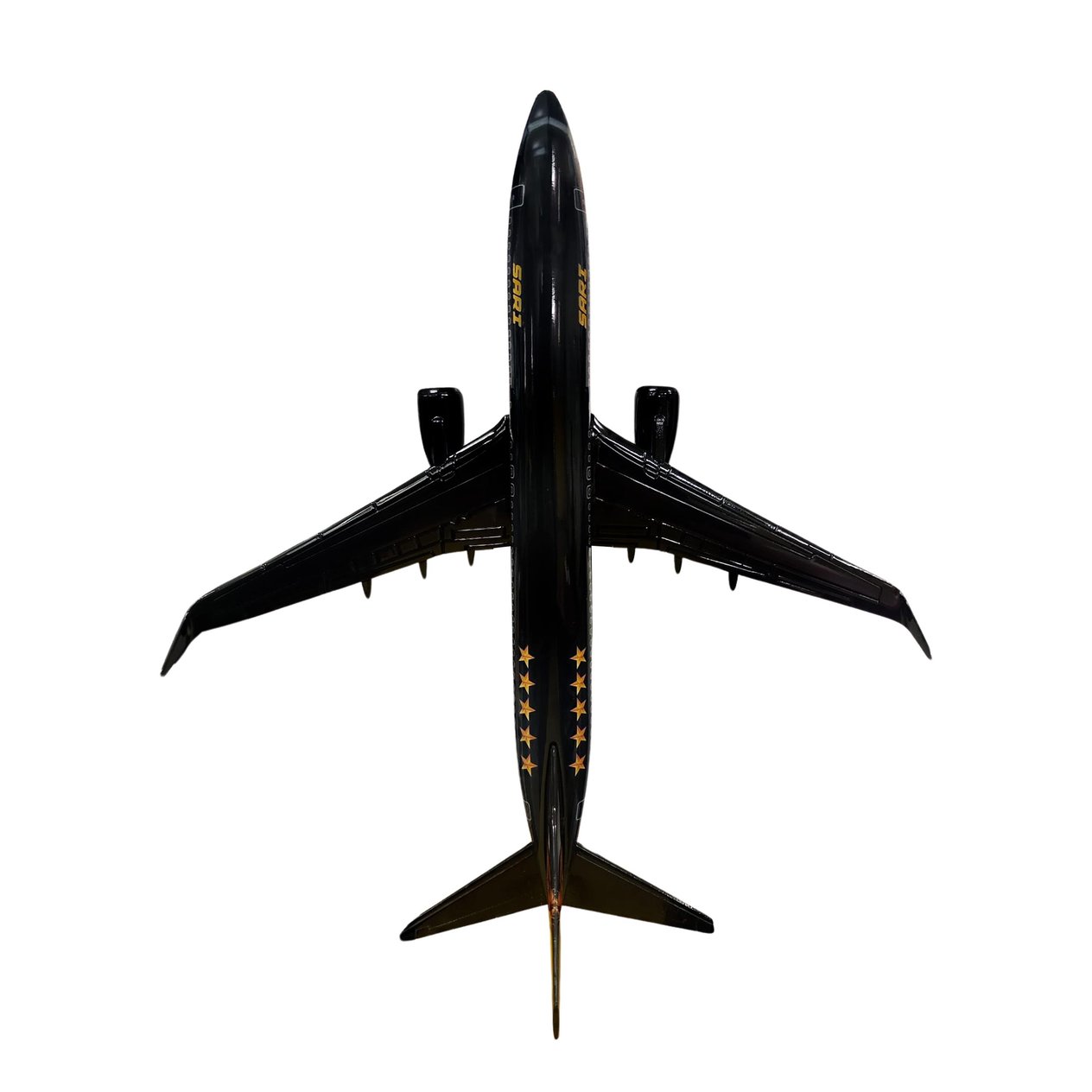 UCK0211Zekupp Boeing 737-800 1/100 Ölçek Klasik Aslan Tasarımlı Siyah Maket Uçak
