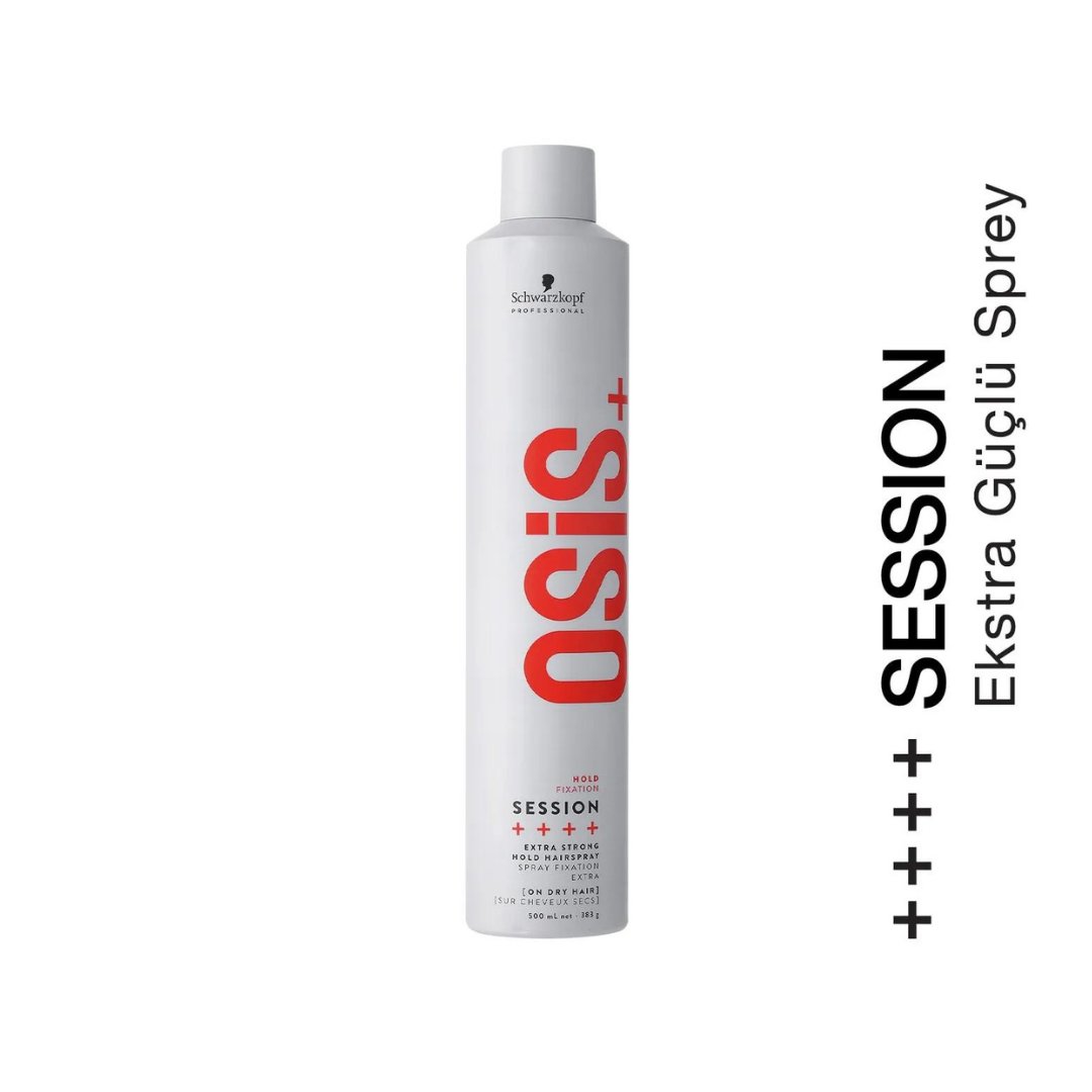 osis-session-guclu-tutucu-sac-spreyi-5-06-420.png