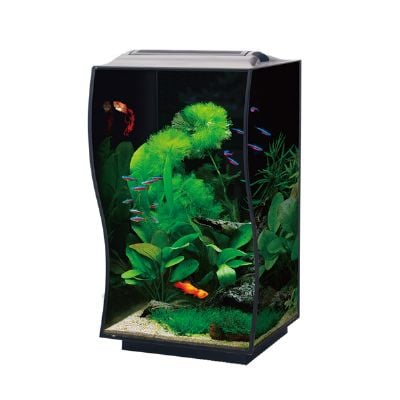 Anubias Nano Tank 36 x 32 x 50 Cm Siyah1998000192780