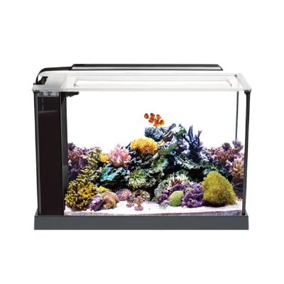 Anubias Nano Tank 52 x 19 x 30 Cm Siyah1998000192865