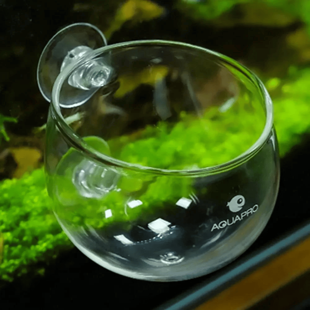 AQUAPRO Glass Plant Pot Cam Bitki Saksısı6975017510252