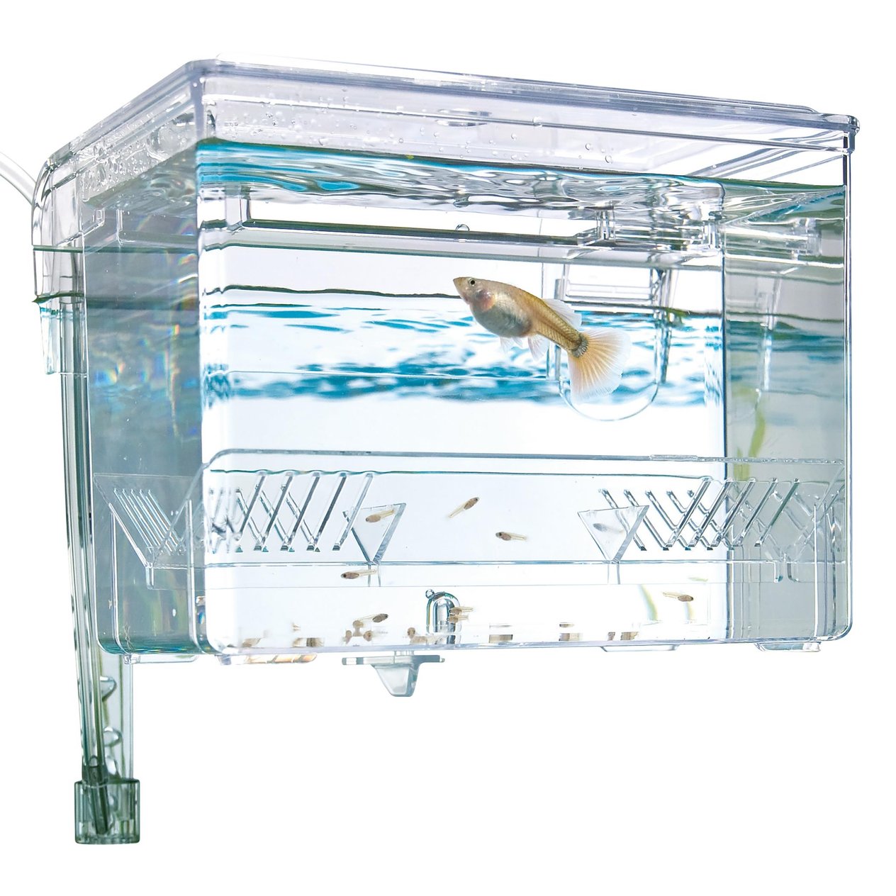 FLUVAL YAVRULUK KÜÇÜK 16,5X12,5X12 CM 015561109420