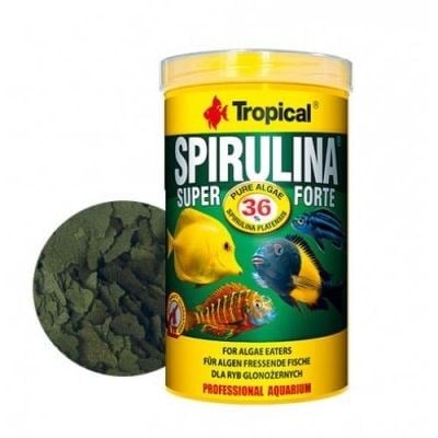 Tropical Super Spirulina Forte Pul Yem Kovadan Bölme 100 Gr