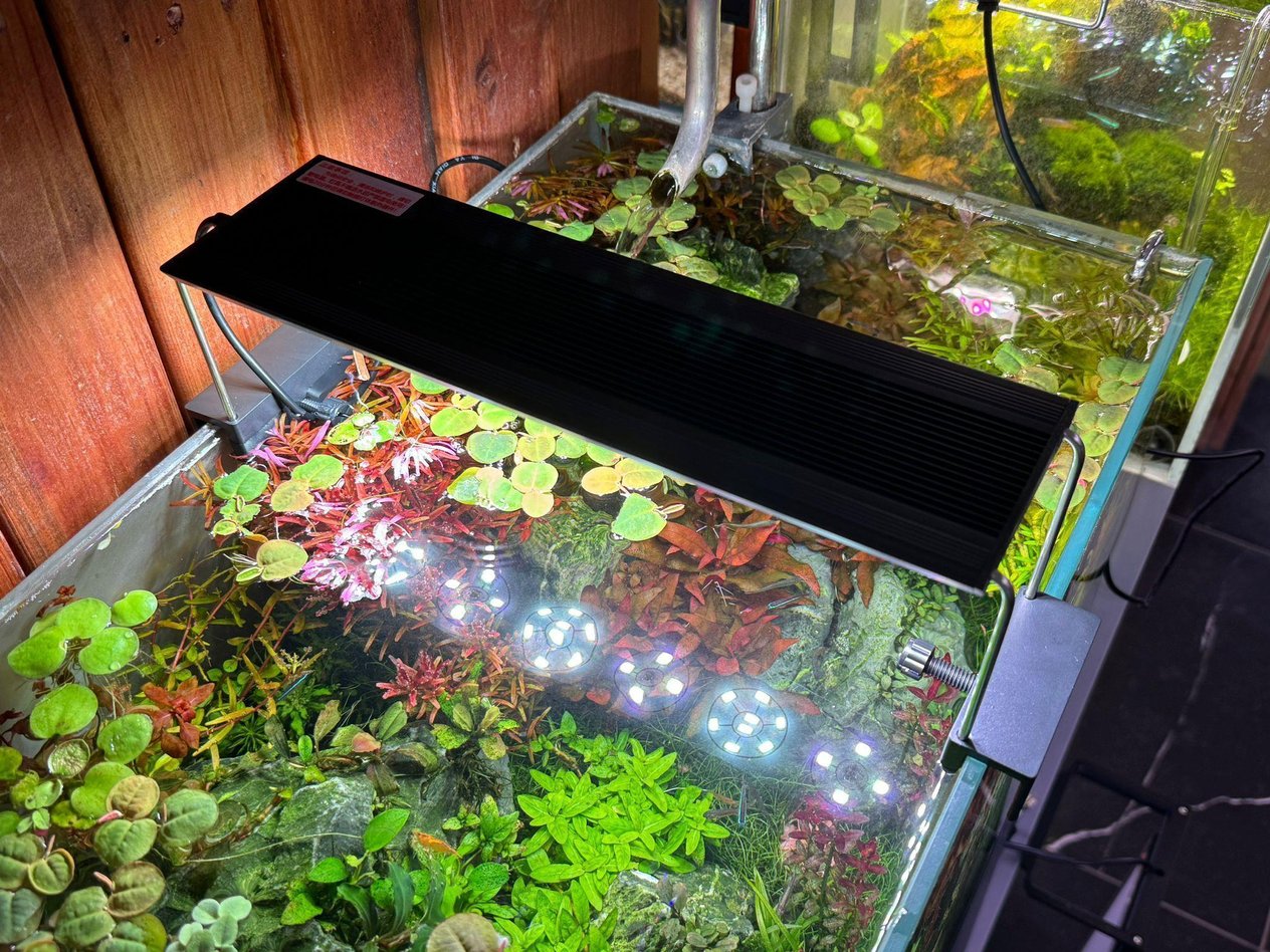 YIKEDA FULL SPEKTRUM 38W LED ARMATÜR (70-90 CM)SD68A