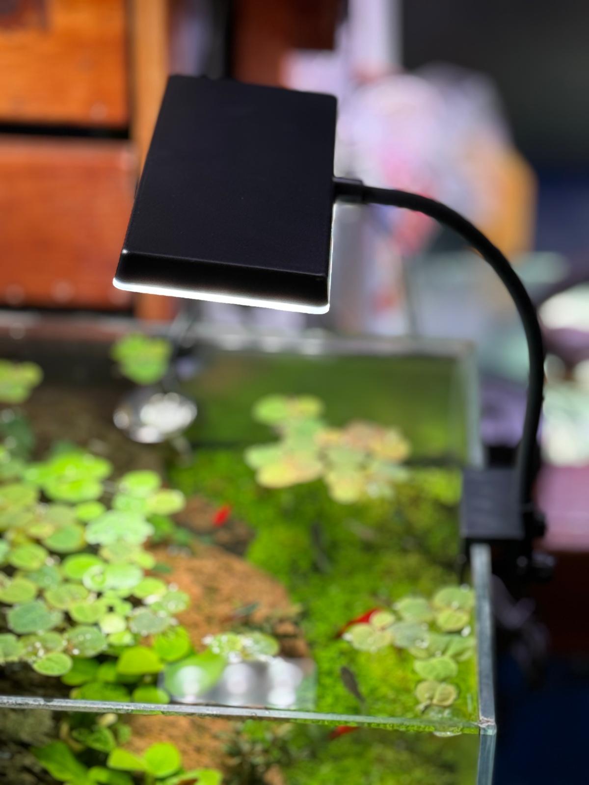 YIKEDA NANO APLİK LED 15,2 W SİYAH KASASD48AS