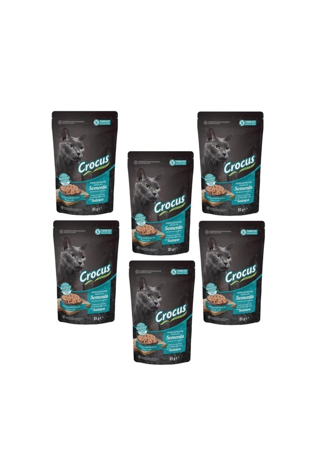 6 Adet Tahılsız Kısır Kedi Somonlu Pouch Jöleli Yaş Mama 85 G : 12/2024